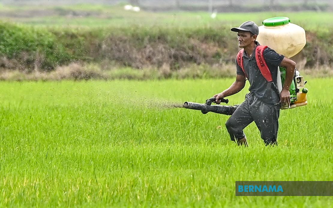 Kelantan Invests RM3.64 Million in Agriculture Development as State Pushes Food Security Agenda