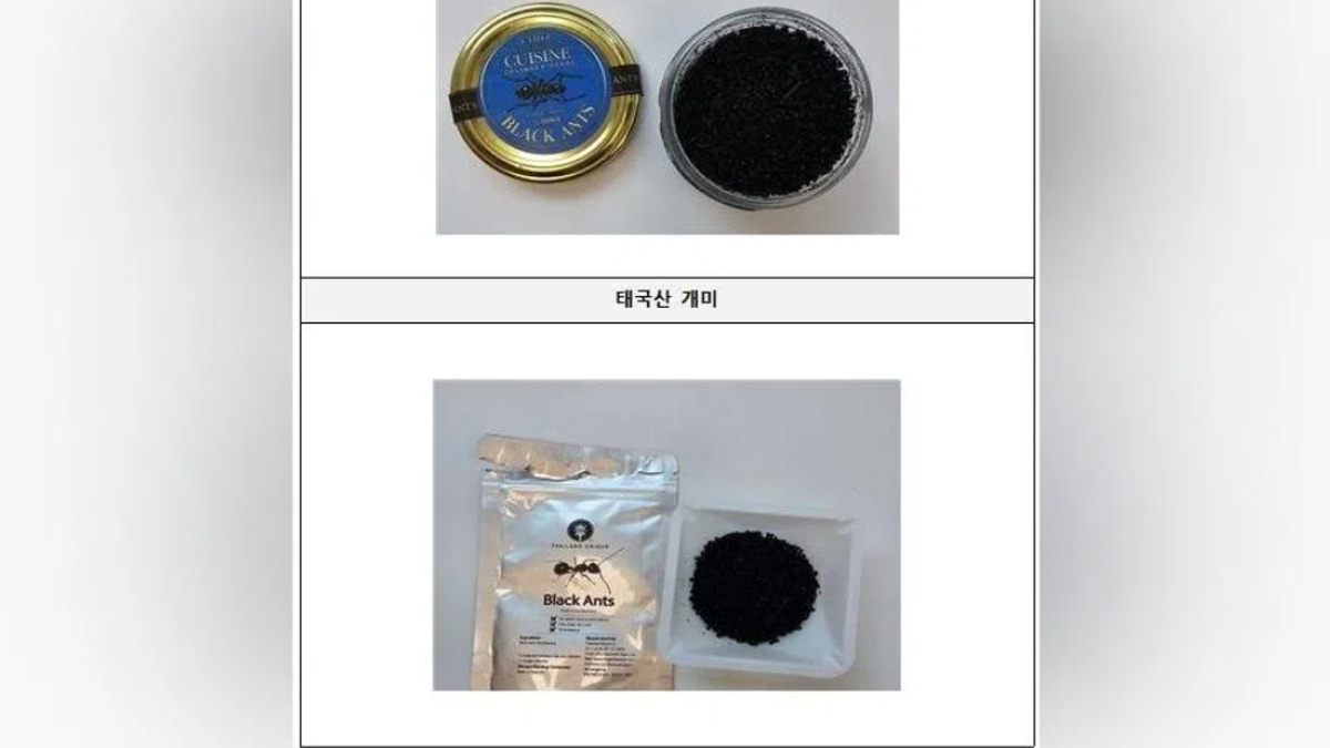 South Korean Michelin Chef Faces Prison Over Illegal Ant Garnish in Sorbet