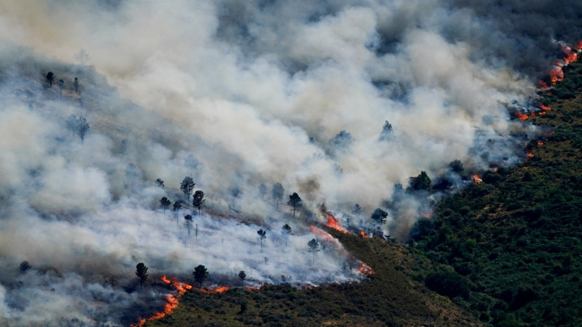 Nearly 60,000 Evacuated as Wildfires Ravage Spain's Madrid Region