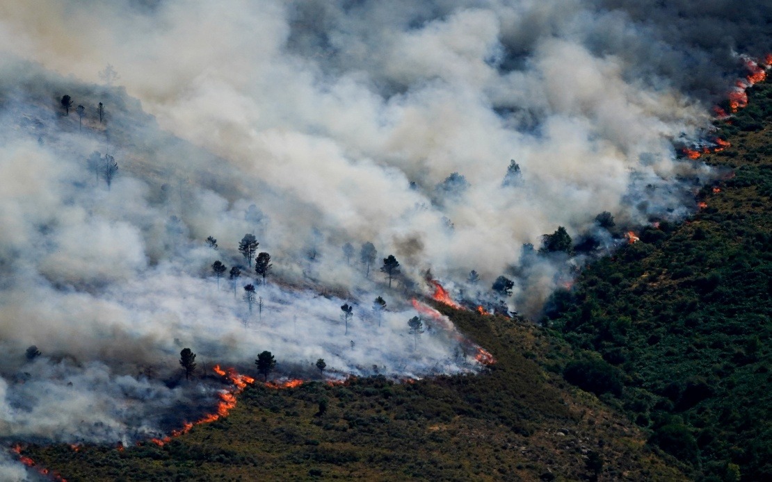 Nearly 60,000 Evacuated as Wildfires Ravage Spain's Madrid Region