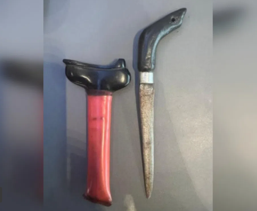 Indonesian Man Charged Over Concealed Knife Found at Singapore's Changi Airport