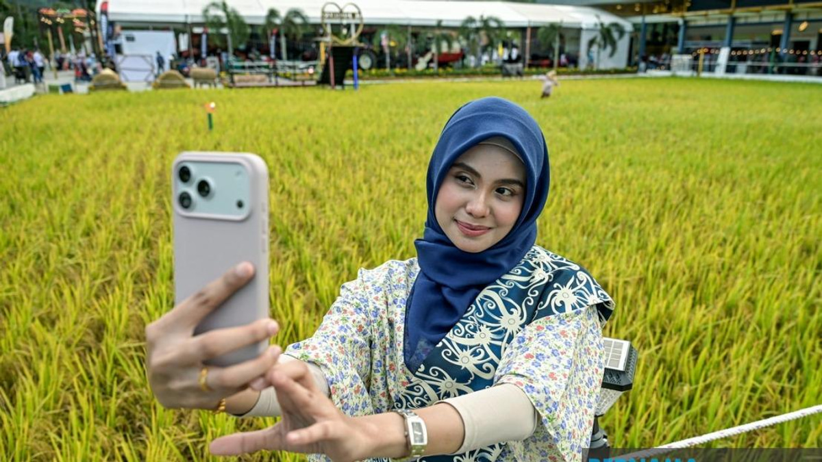 Malaysia Sets Record with Largest Paddy Art Display at MAHA 2026