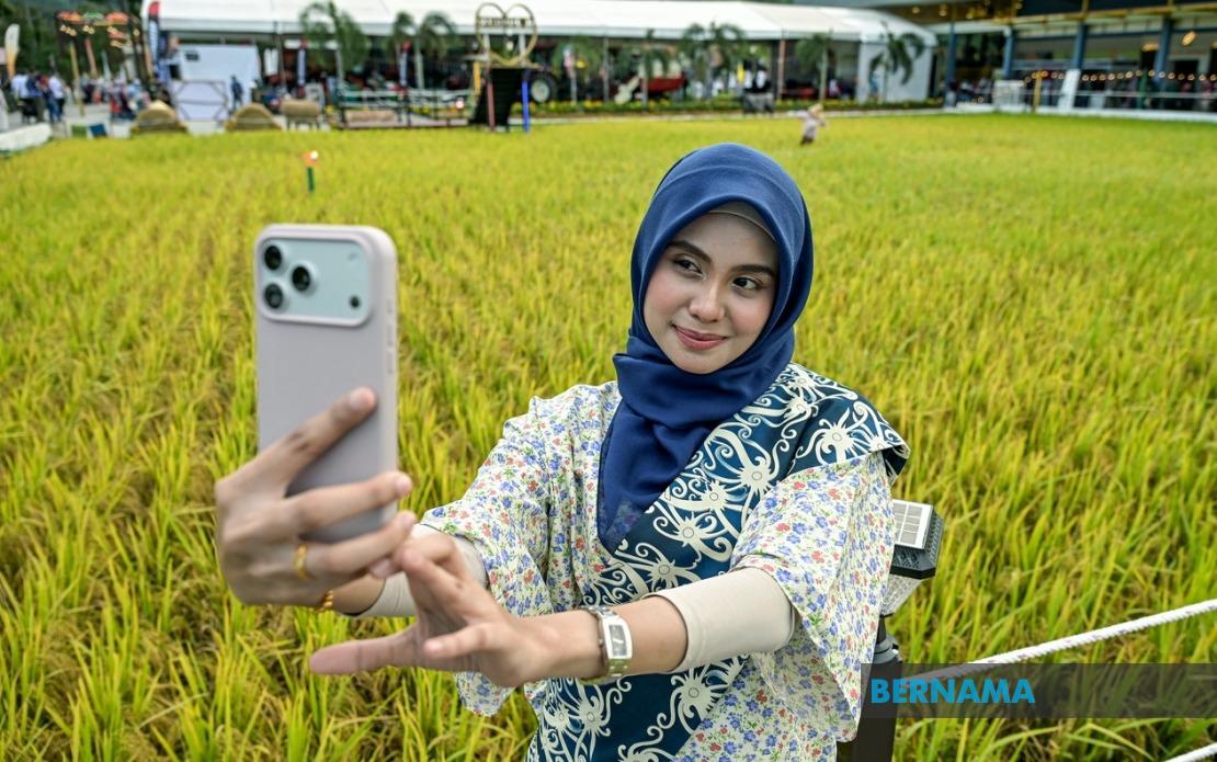 Malaysia Sets Record with Largest Paddy Art Display at MAHA 2026