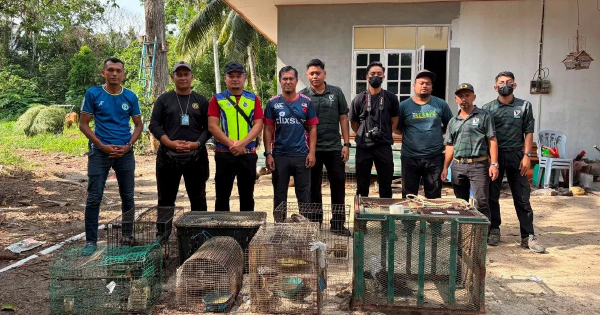 Teen Nabbed with Nearly RM50,000 in Protected Wildlife Species