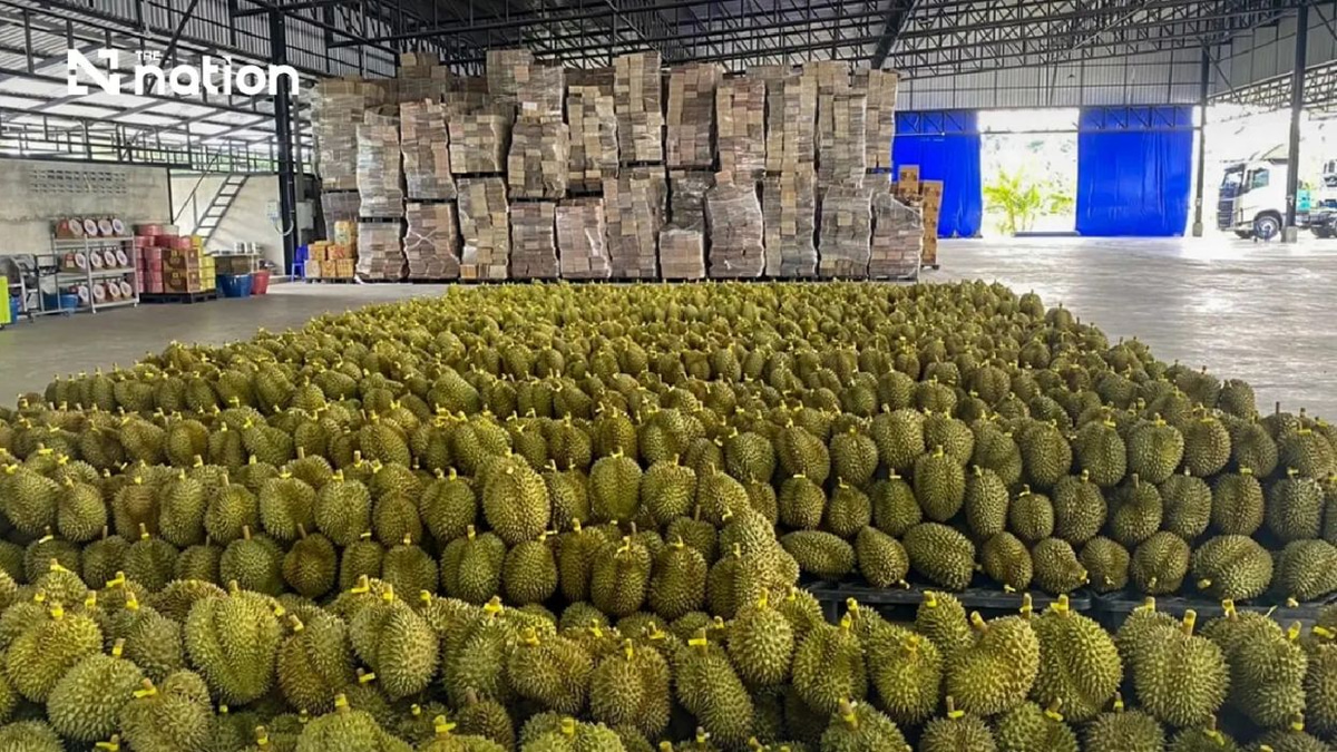 Thailand's durian exports to China shatter records with THB100bn milestone in first half of 2026