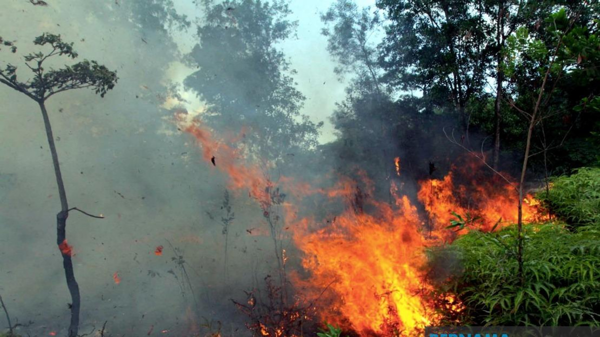 Sabah Fire Department Calls for Halt to Open Burning as Indonesian Haze Blankets State