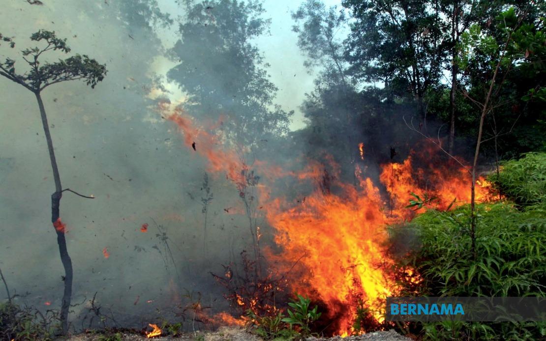 Sabah Fire Department Calls for Halt to Open Burning as Indonesian Haze Blankets State