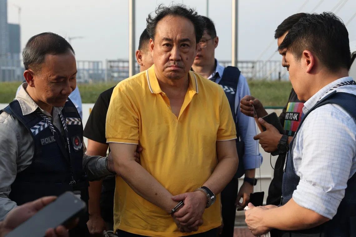 Lawyer Lim Tean deported to Singapore after Malaysian arrest over unpaid jail sentence