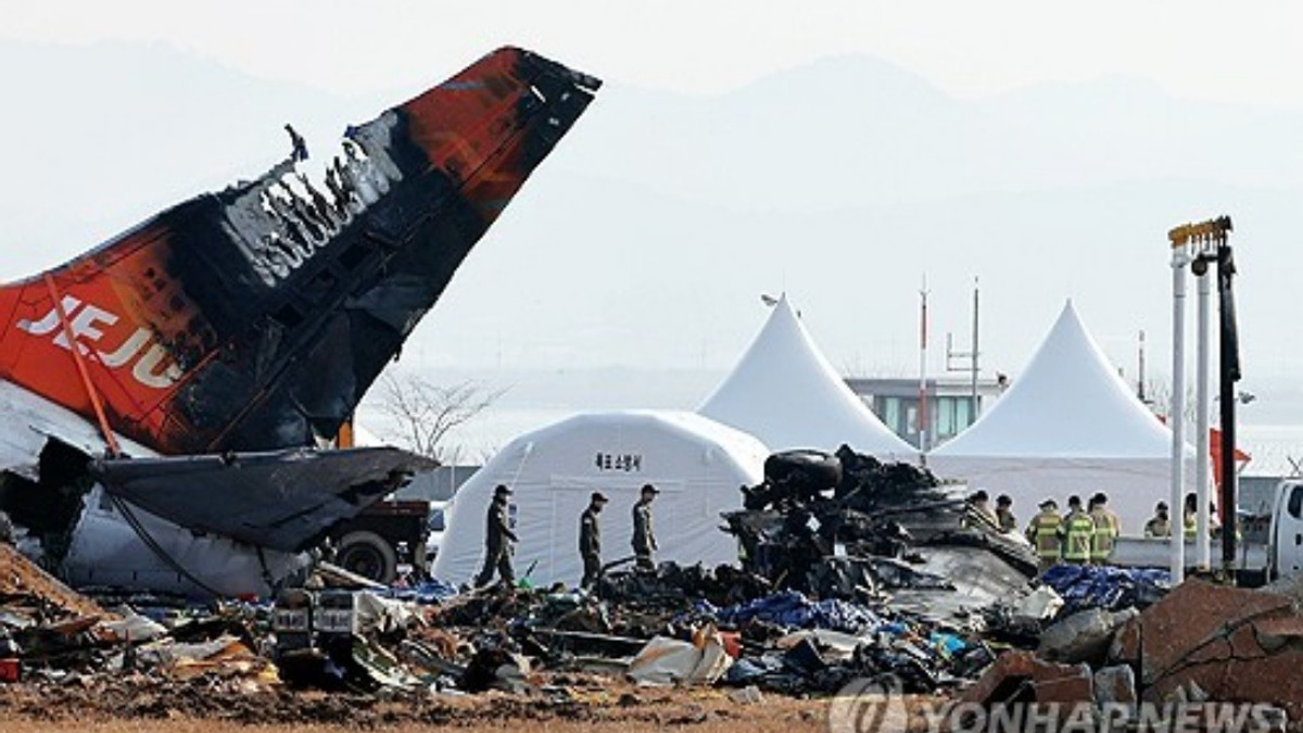 Seven South Korean Transport Officials Referred for Alleged Cover-Up in Jeju Air Crash