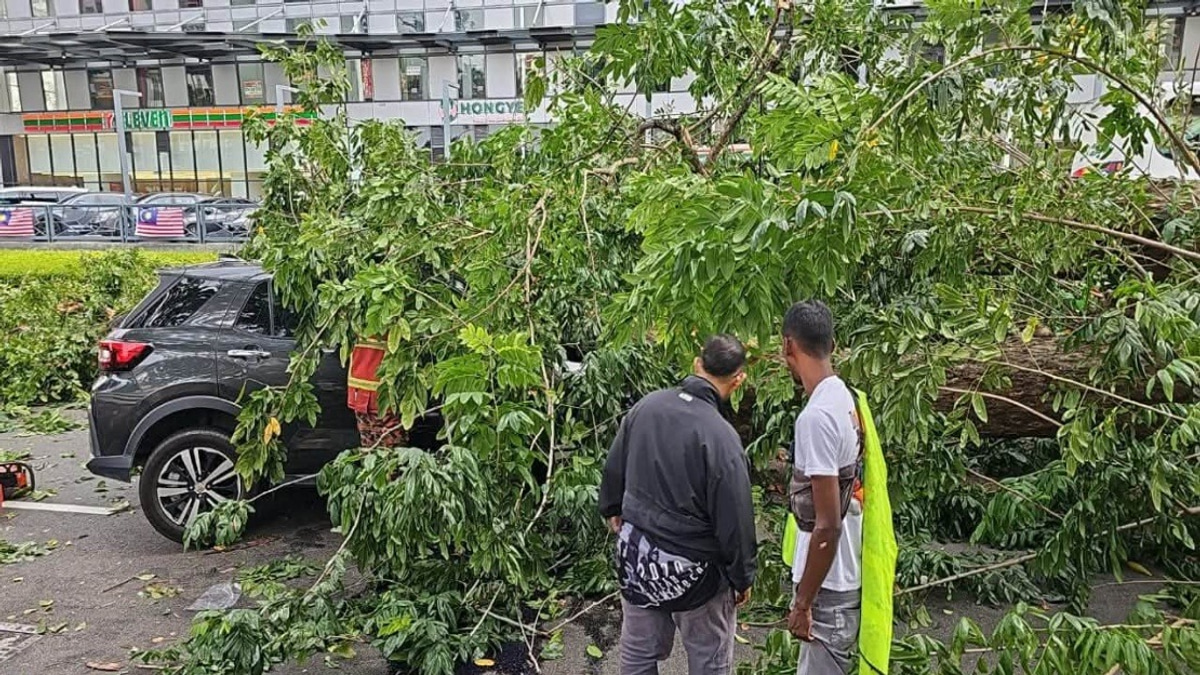 Three Family Members Injured as Tree Crashes onto Vehicle on Penang Road