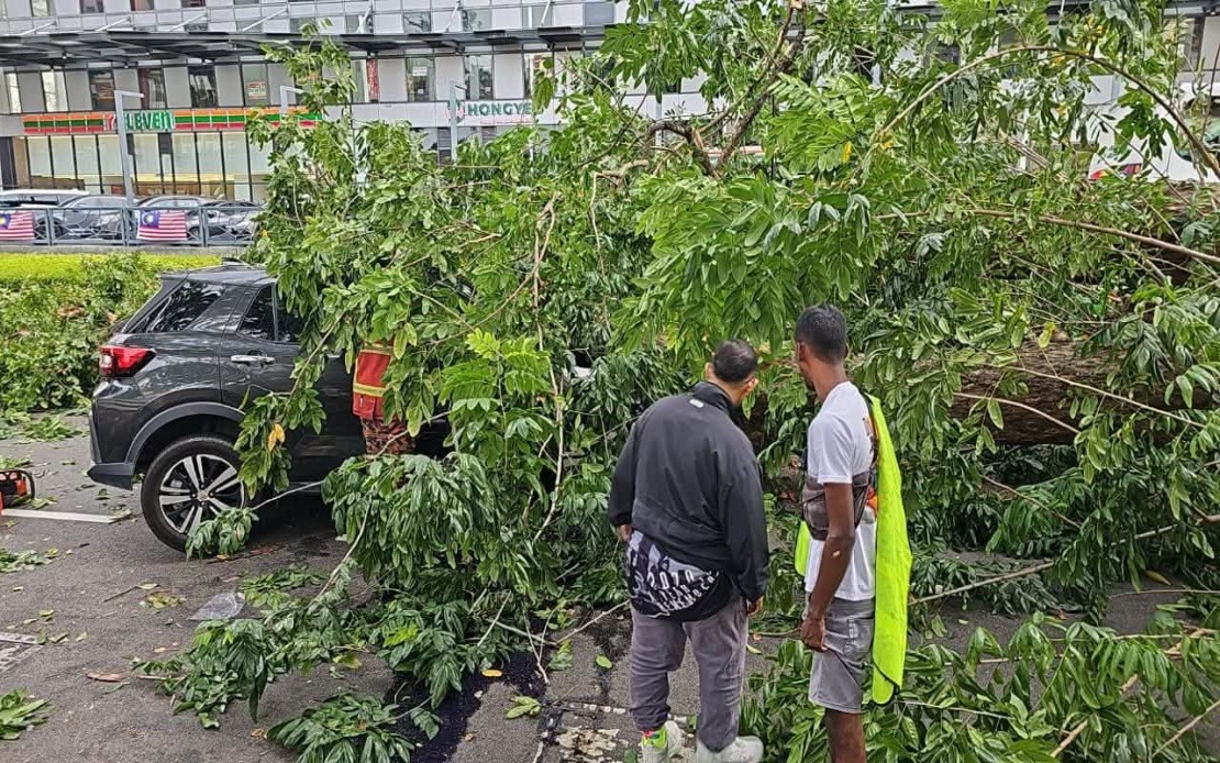 Three Family Members Injured as Tree Crashes onto Vehicle on Penang Road