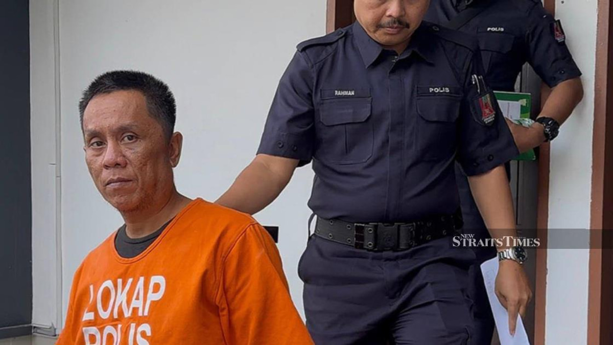 Former Government Enforcement Officer Faces Theft Charge Despite Lengthy Criminal Record