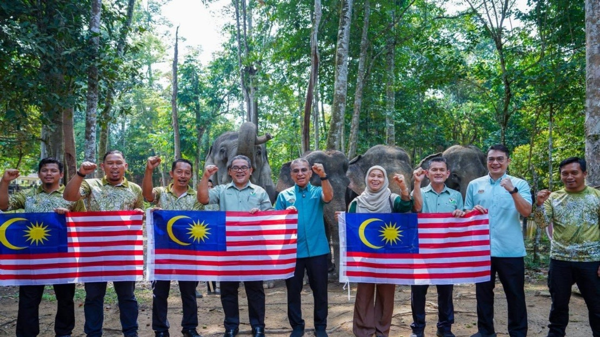 Malaysia's Wildlife Agency Develops Fresh Strategies to Combat Rising Human-Elephant Clashes