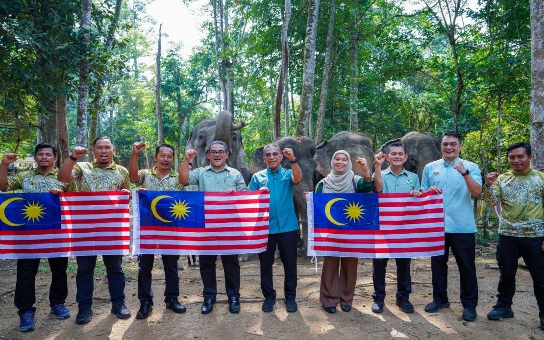 Malaysia's Wildlife Agency Develops Fresh Strategies to Combat Rising Human-Elephant Clashes