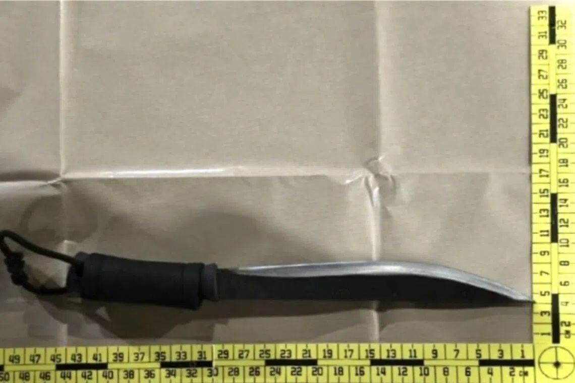 Four arrested in Singapore after armed carpark confrontation over vehicle rental dispute