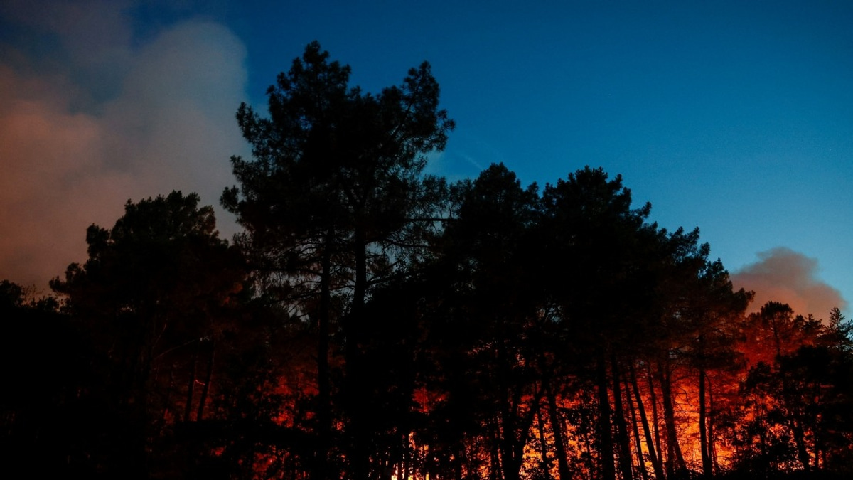 France Grapples With Catastrophic Wildfire Season as 119,000 Hectares Turn to Ash