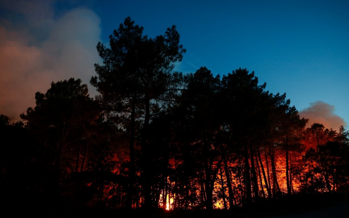 Arson Suspected as Massive Wildfire Devastates Historic Fontainebleau Forest