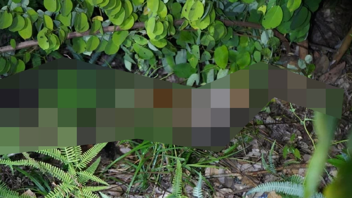 Ten-year-old girl found dead in Kota Kinabalu, two men arrested for murder