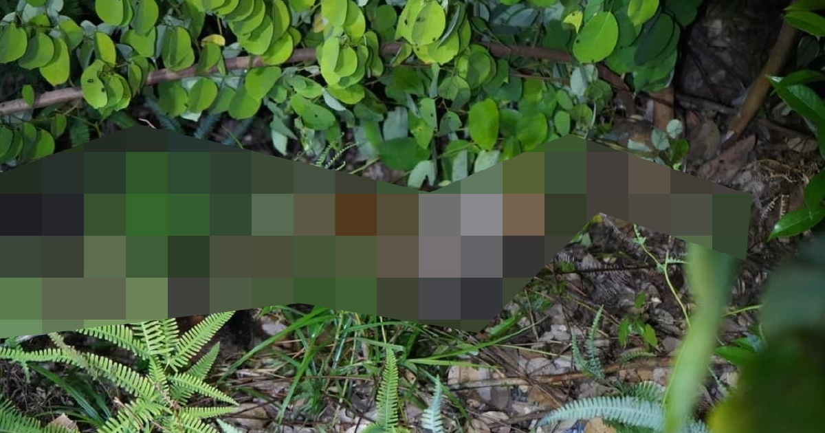 Ten-year-old girl found dead in Kota Kinabalu, two men arrested for murder