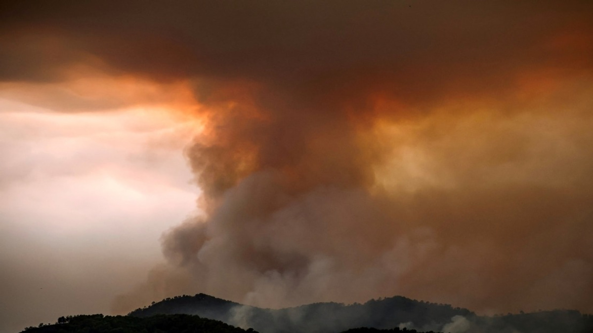 Spain Battles Record Wildfire as Nearly 100,000 Face Evacuation