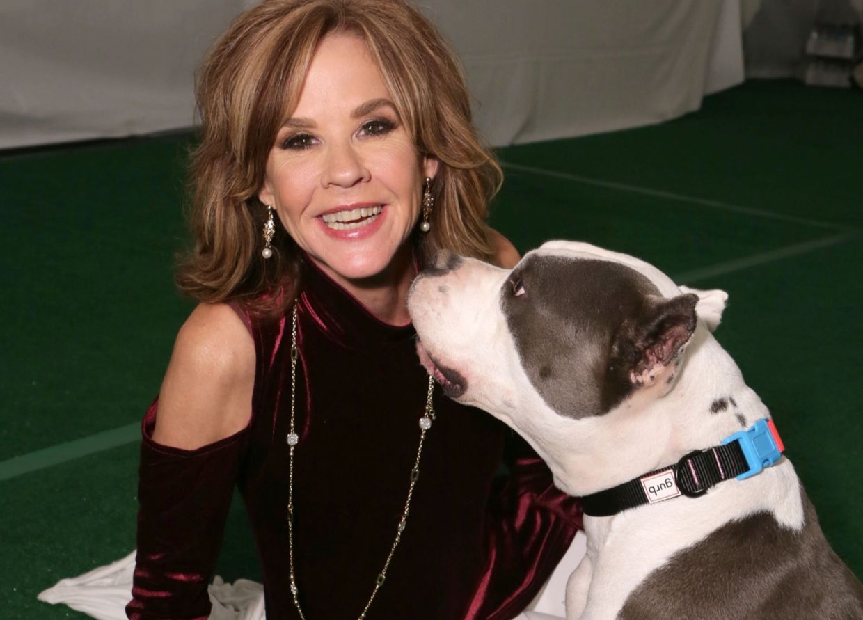 Linda Blair's Animal Sanctuary Raided Over Missing Kennel Permits