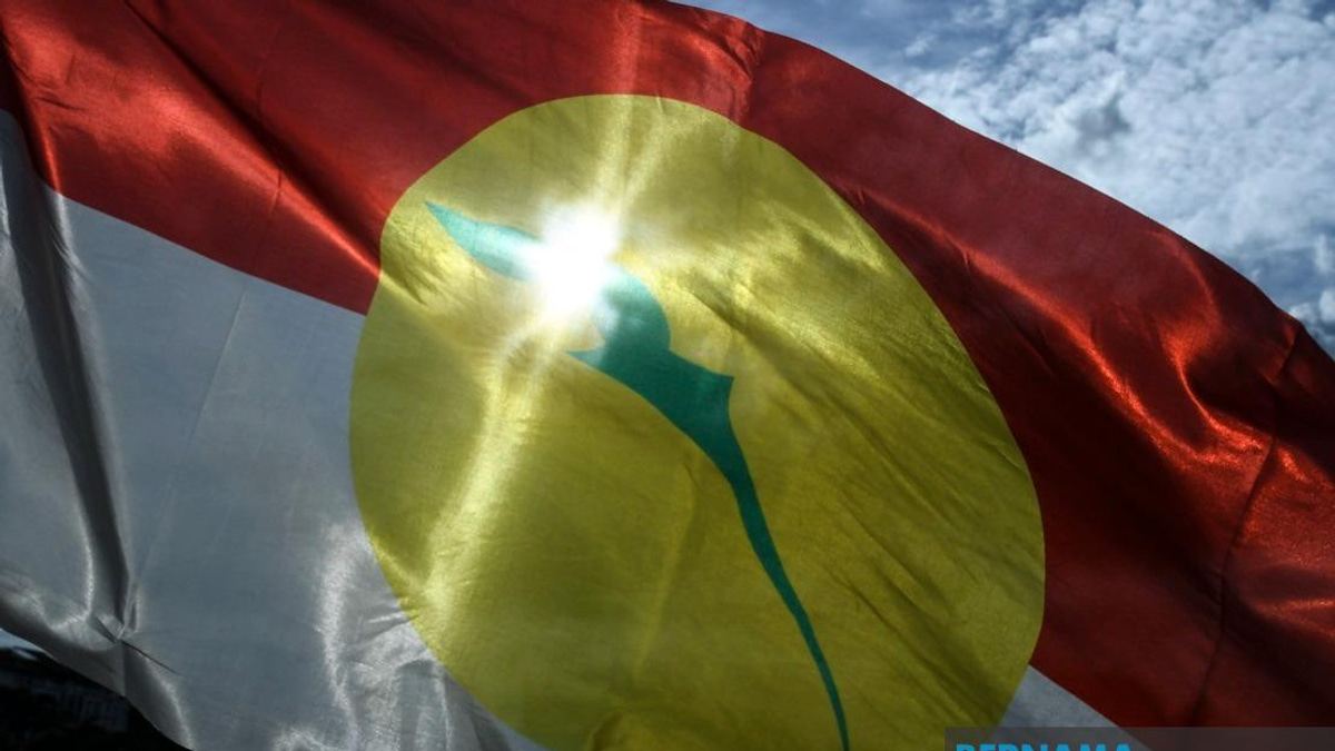 UMNO Members Must Put Party Unity Above Personal Grievance in Johor Election, Says Azalina