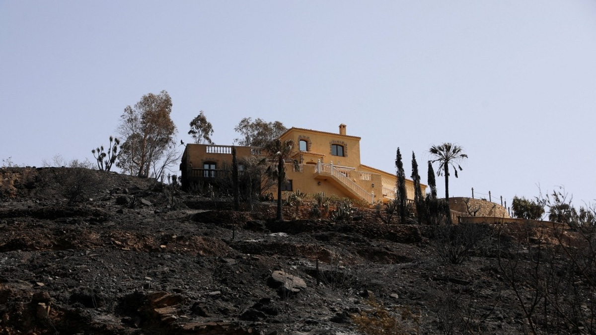 Spanish Wildfire Death Toll Reaches 13 As Blaze Stabilised In Andalusia