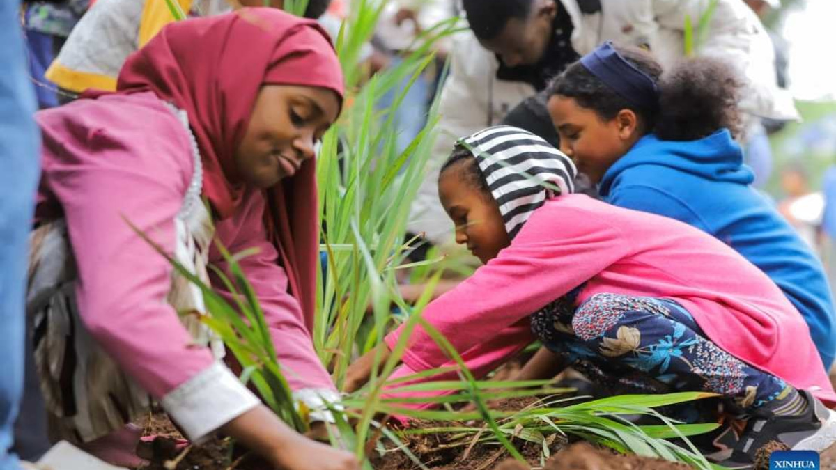 Ethiopia Plants 800 Million Trees in Historic One-Day Drive