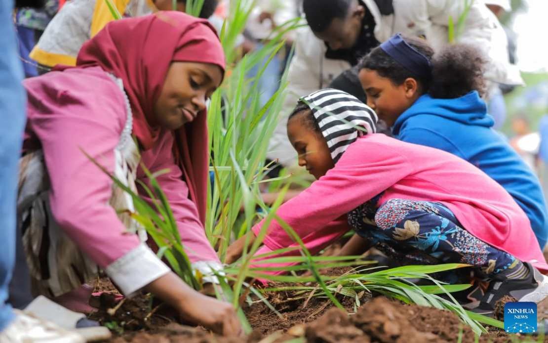 Ethiopia Plants 800 Million Trees in Historic One-Day Drive