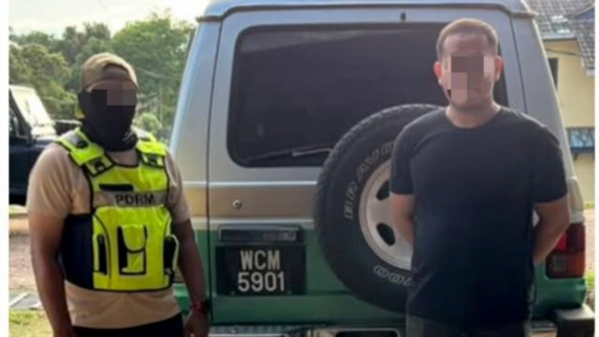 Man Detained With RM6,000 Worth of Smuggled Bromeliads Hidden in SUV