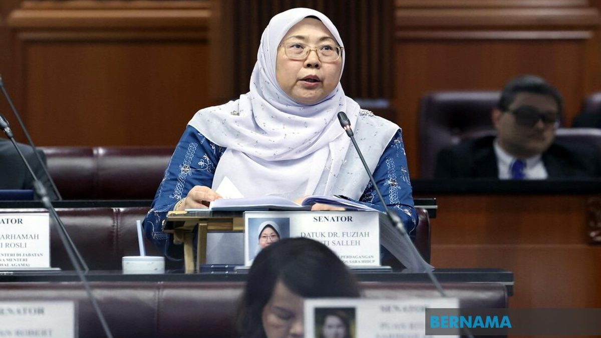 Senate Approves Competition Bill To Combat Cartels And Market Abuse