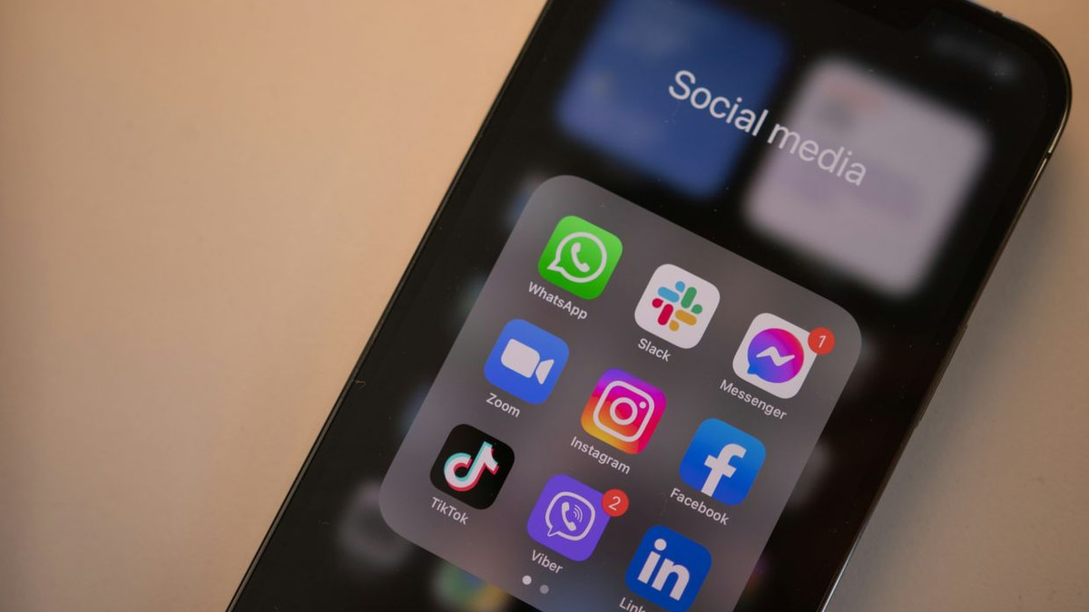 France's Constitutional Court Strikes Down Under-15 Social Media Ban, Citing Freedom of Expression Concerns