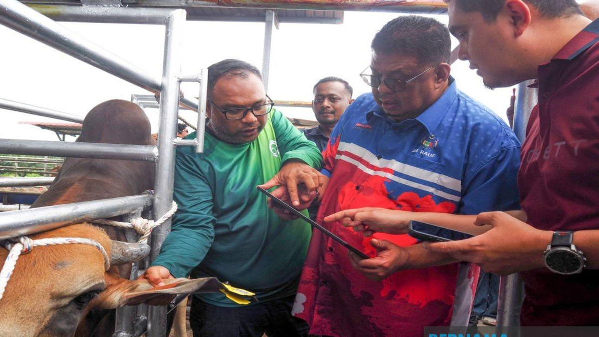 Melaka Rolls Out QR Tag System to Track Livestock and Boost Public Safety
