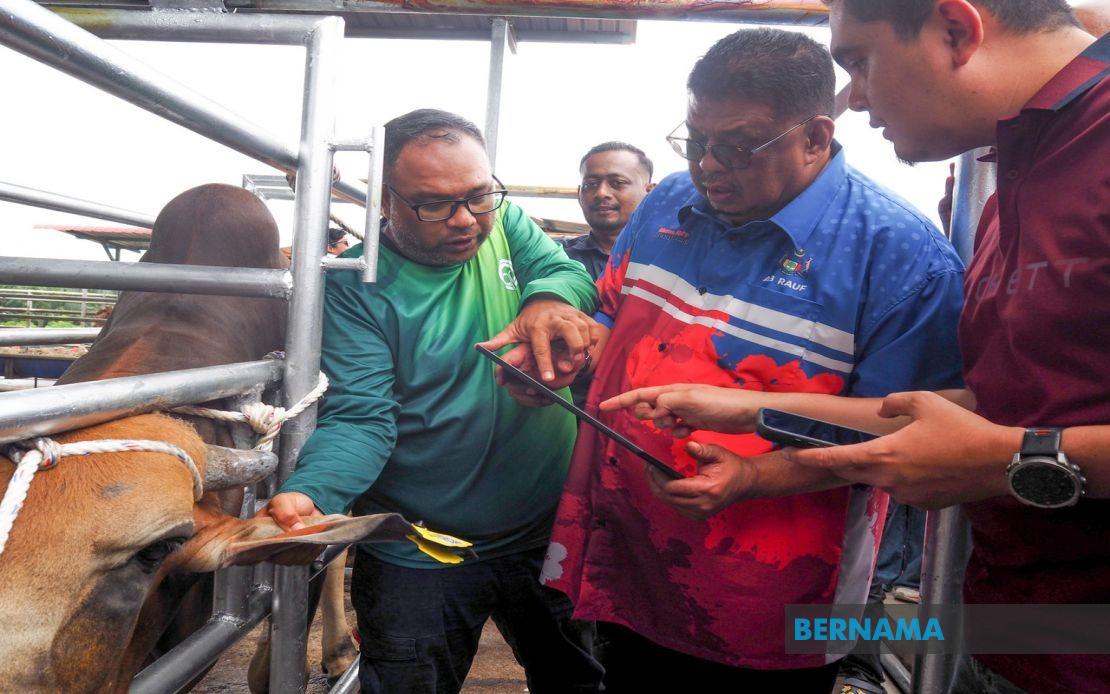 Melaka Rolls Out QR Tag System to Track Livestock and Boost Public Safety